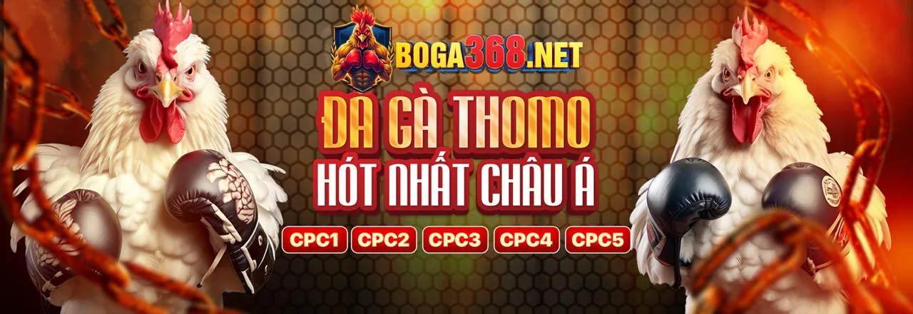 Hoàn trả hàng ngày/tuần tại BL555A