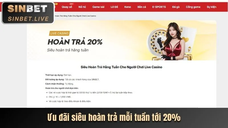 Các chương trình khuyến mãi tại bl555a